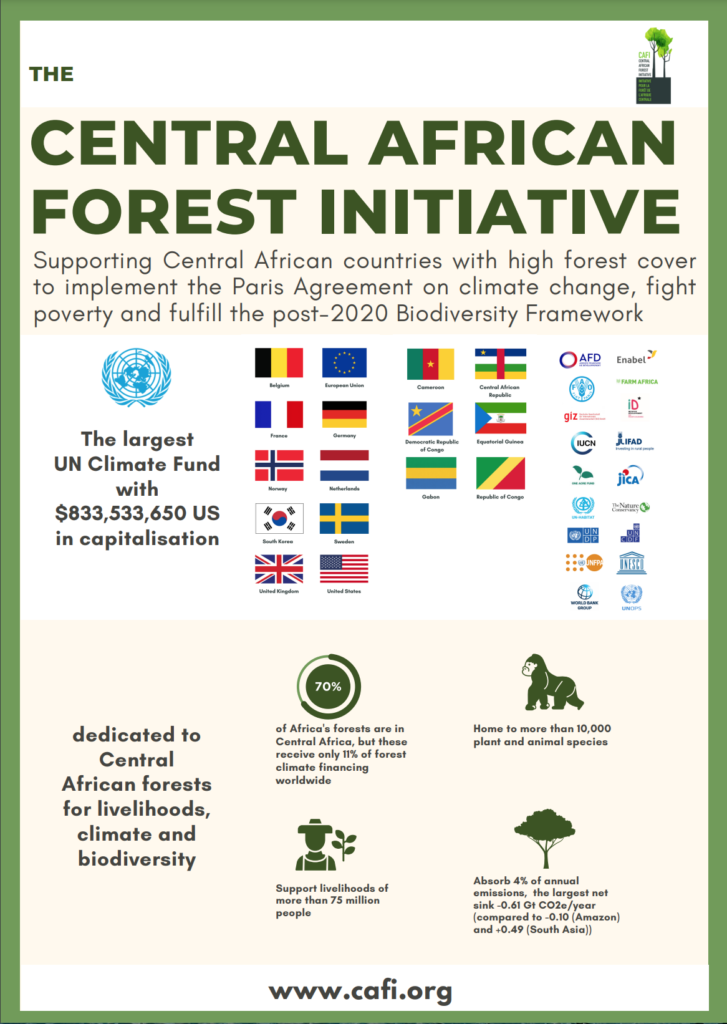 EB.2024.09 - CMR - No-Cost Extension of the UNDP-MINEPAT Preparation Grant Project (EN) - 04 avril 2024